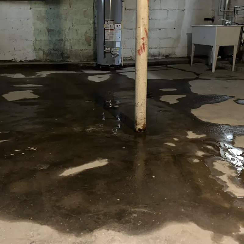 Emergency Water Extraction And Removal in Lewis and Clark County, MT